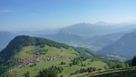 Élagueur Nancy-sur-Cluses