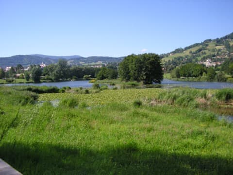 Élagueur Viuz-en-Sallaz