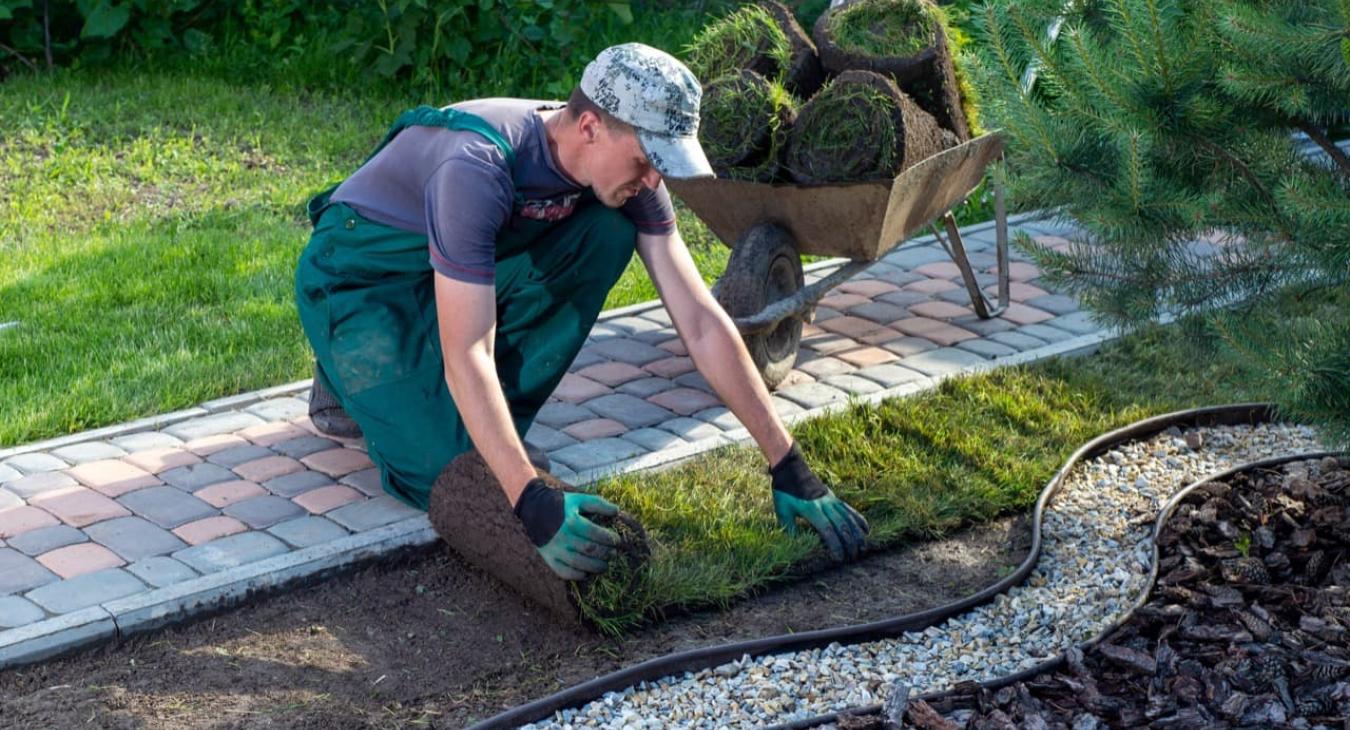 Pose de gazon en rouleaux 74 Haute-Savoie