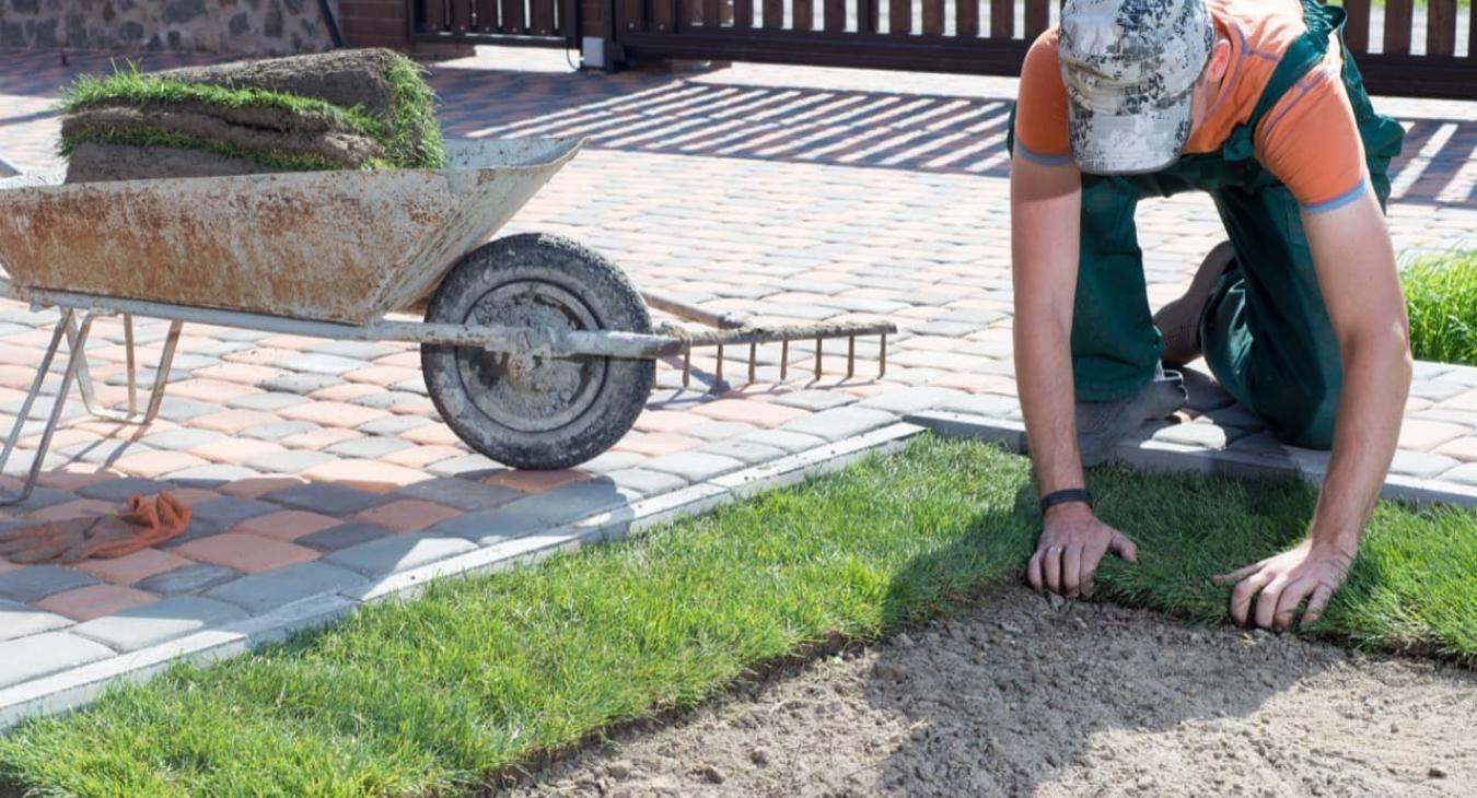 Pose de gazon en rouleaux 74 Haute-Savoie